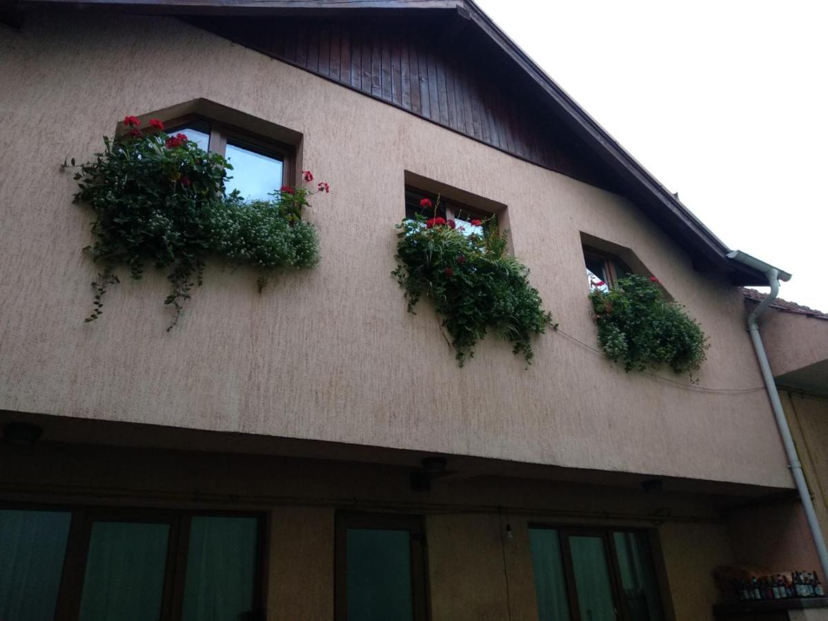 Casa Charlot Apartment Brasov Bagian luar foto