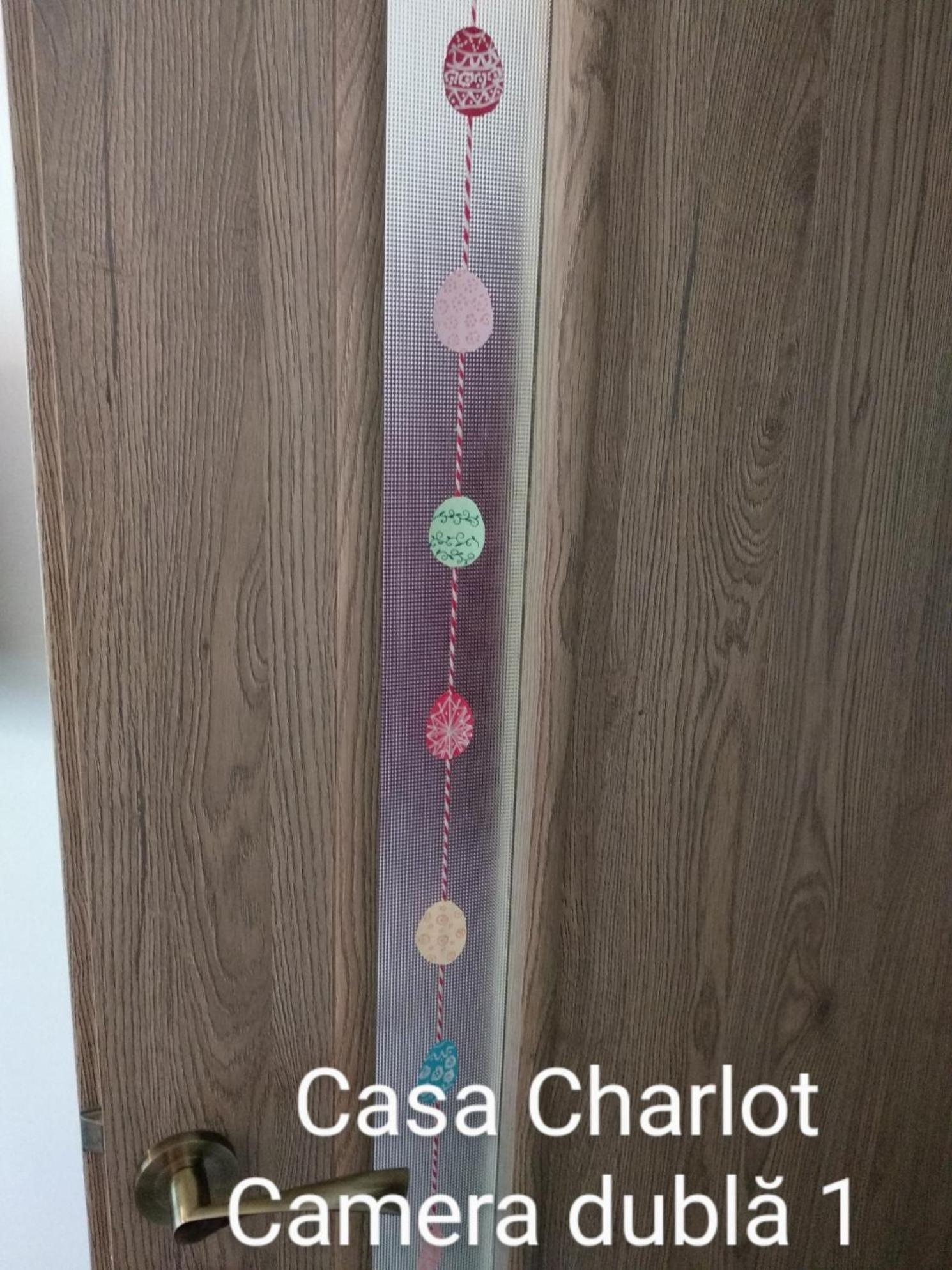 Casa Charlot Apartment Brasov Bagian luar foto